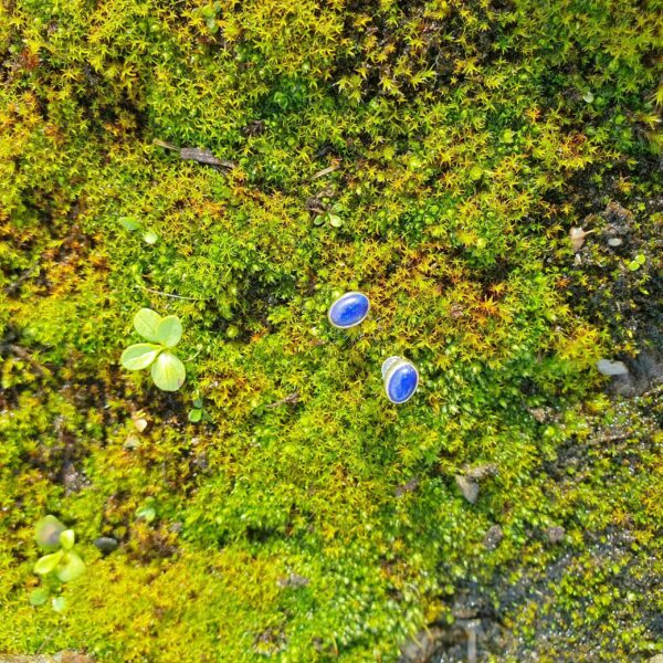 Clous d’Oreilles en Lapis Lazuli – Ovale