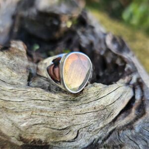 Une bague chevalière unique en labradorite, argent 925 et reflets changeants, parfaite pour un style sophistiqué.